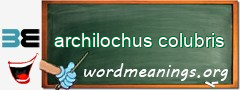 WordMeaning blackboard for archilochus colubris